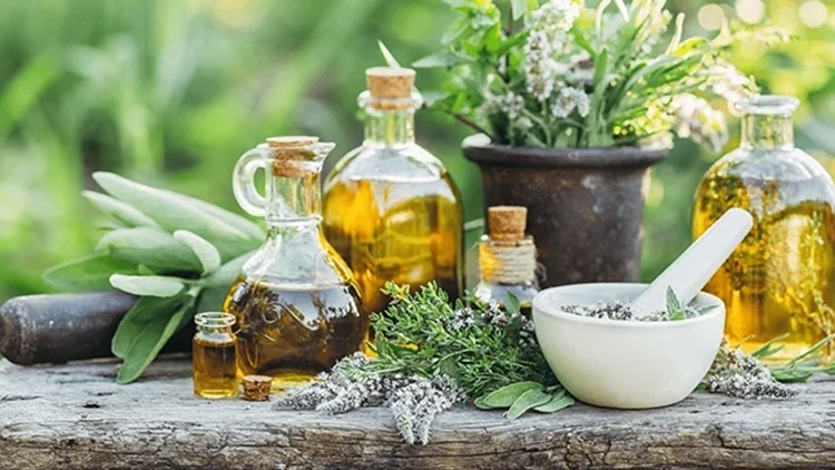 Established And Profitable Wholesale Supplier Of Herbs in Eastrand For Sale