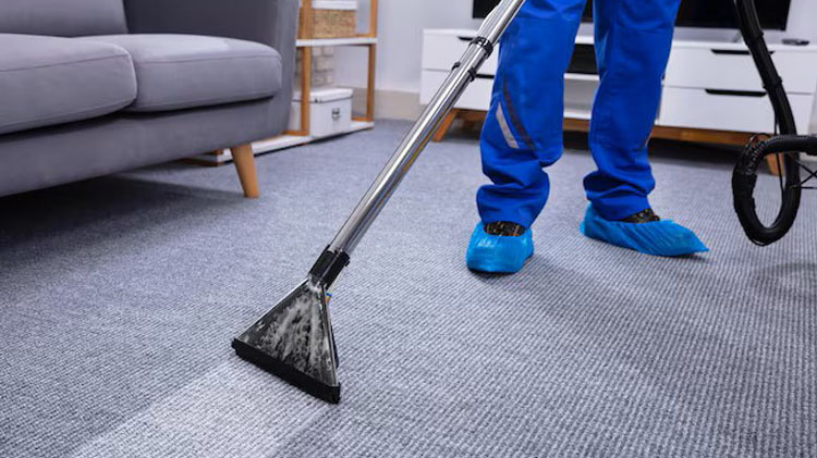 cleaning company 00